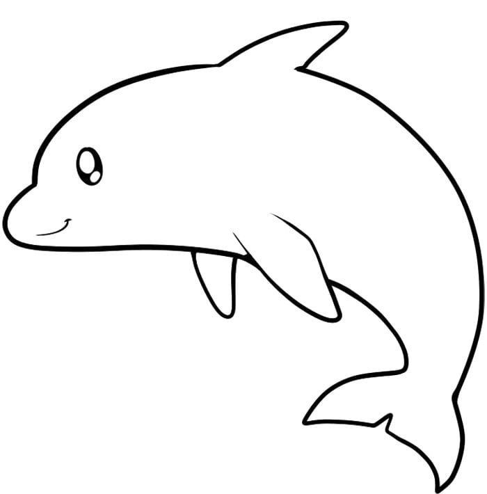 cool looking dolphin coloring page