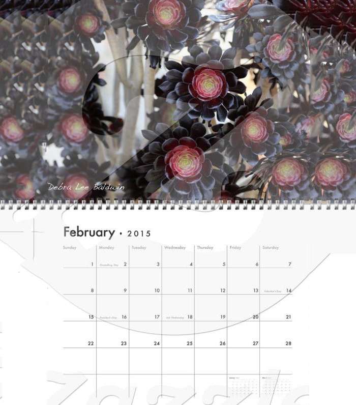 debra lee baldwins succulent photos 2015 calendar