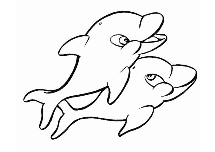dolphin babies coloring page