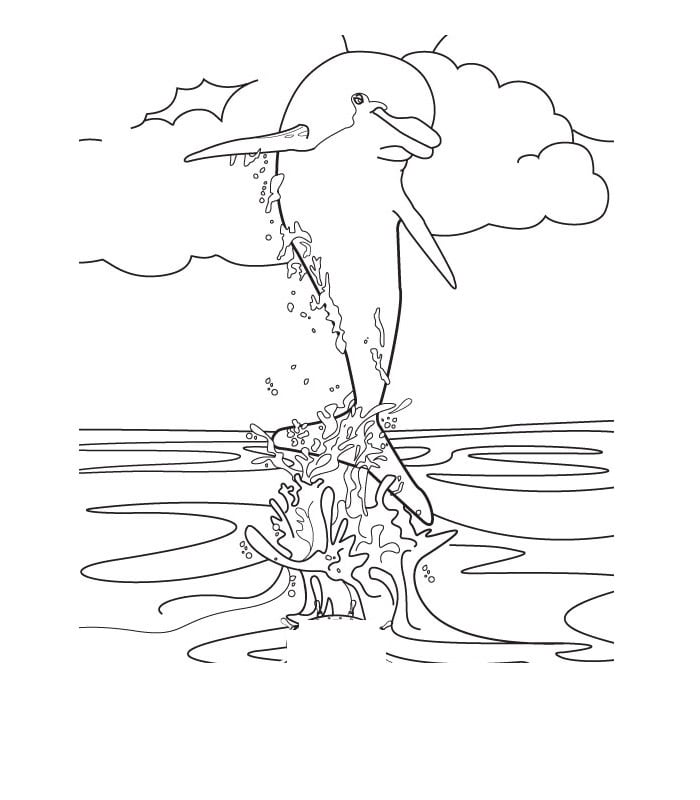 dolphin picture to color