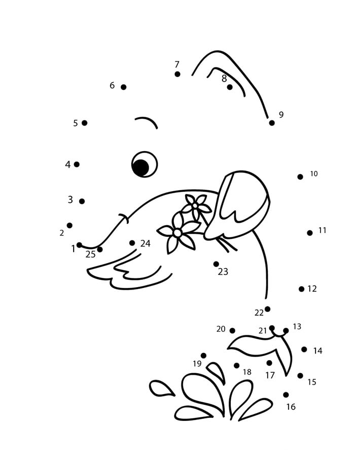 dolphin template dot to dot