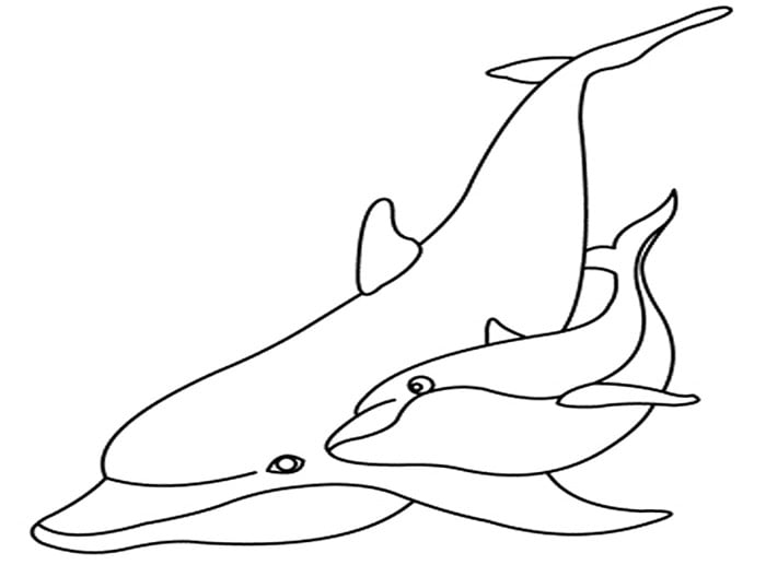dolphin and son template for kids