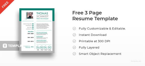 free 3 page resume template