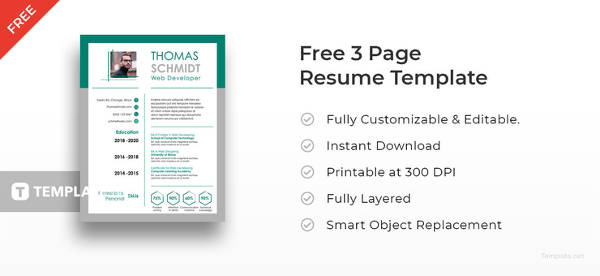 free 2 page resume template download