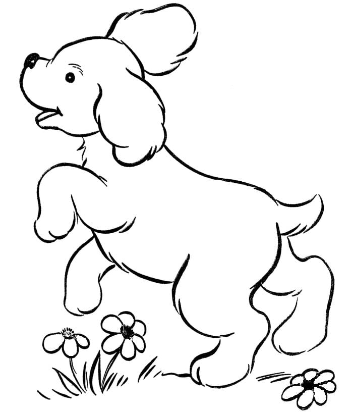 83 Animal Colouring Pages Free Download Print Free Premium 