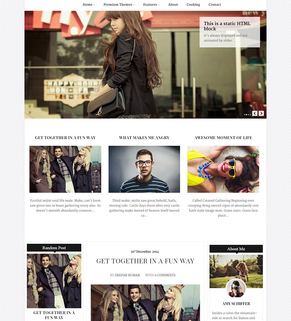 27+ Best Gallery Style Blog Templates & Themes Free & Premium Templates