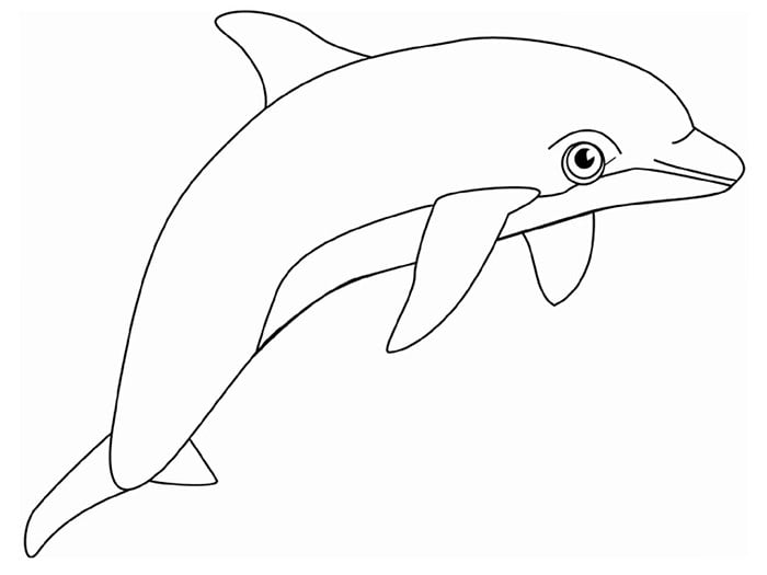 mermaid and dolphin coloring page