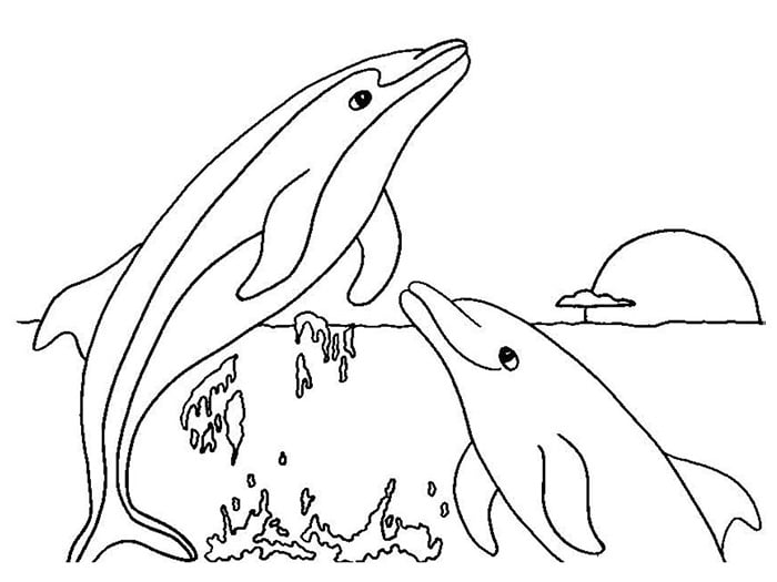 printable dolphin coloring page for kids
