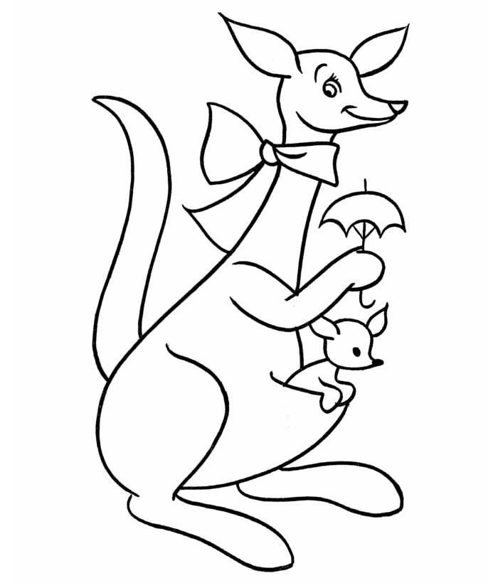 printable kangaroo coloring page