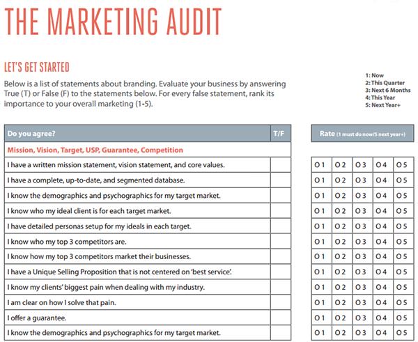 the marketing audit