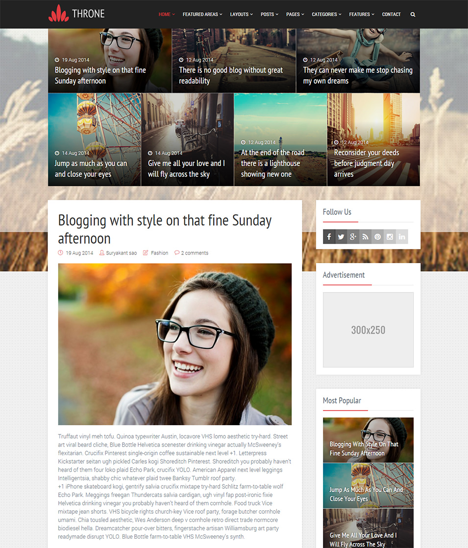 29  Best Gallery Style Blog Templates Themes