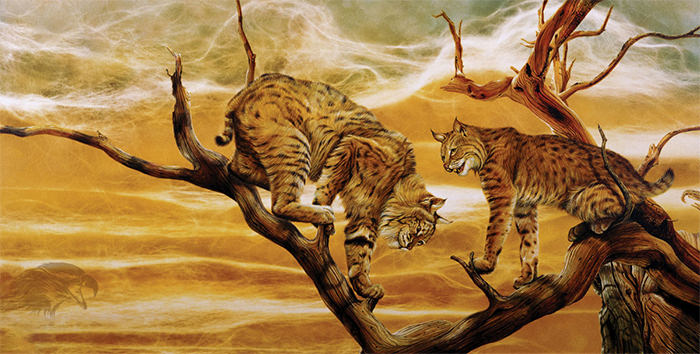wildlife art lynx painting