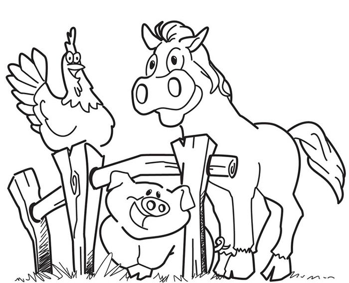 animal coloring page template