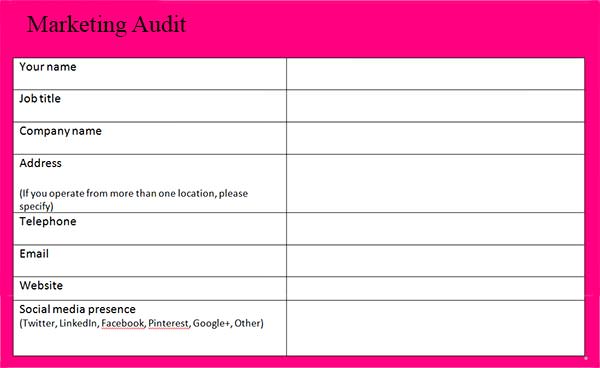 Marketing Audit Template 26  Free Word Excel Documents Download