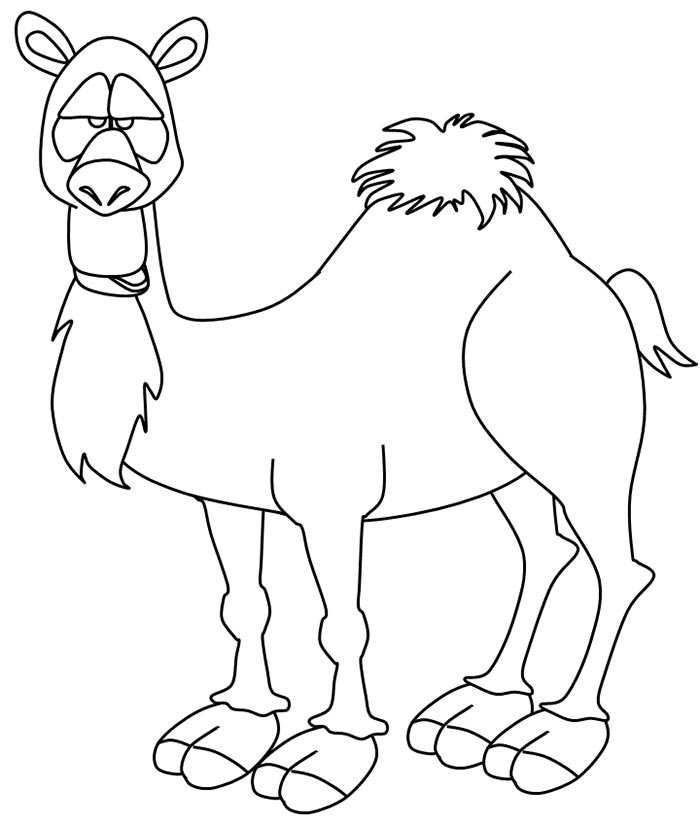 Animal Template - Animal Templates