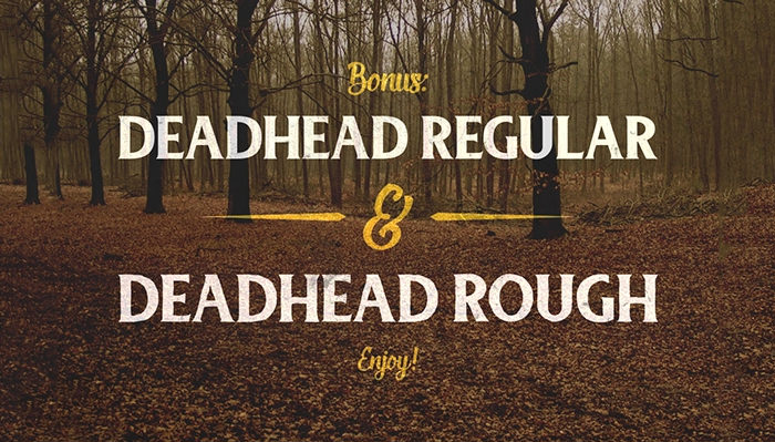 deadhead-script-typeface