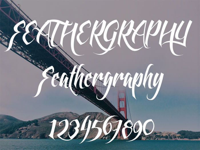 feathergraphy calligraphy tattoo font