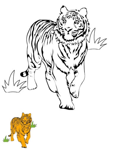 free standing tiger coloring page