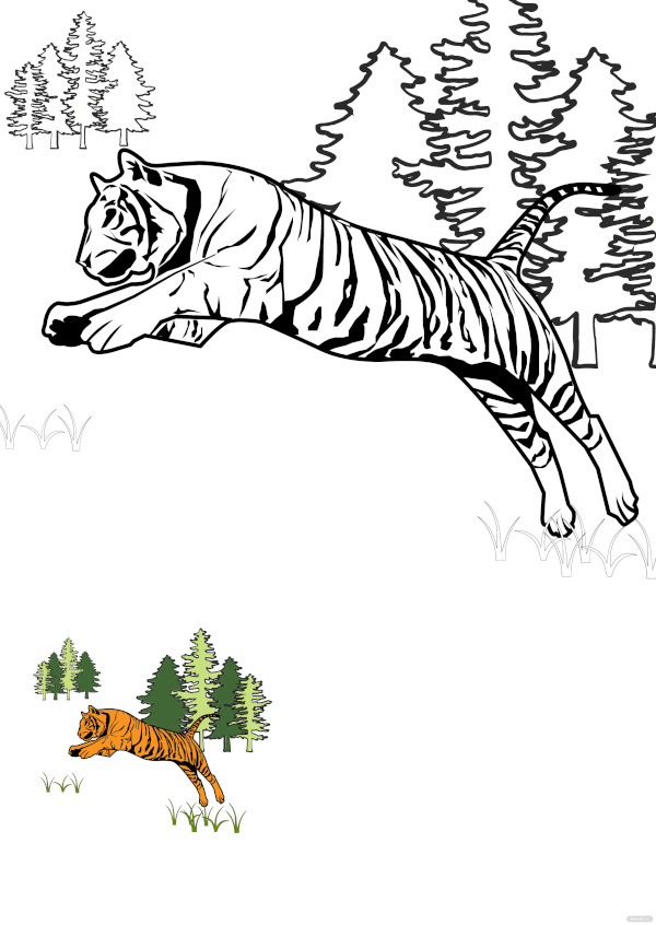 free tiger full body coloring pages
