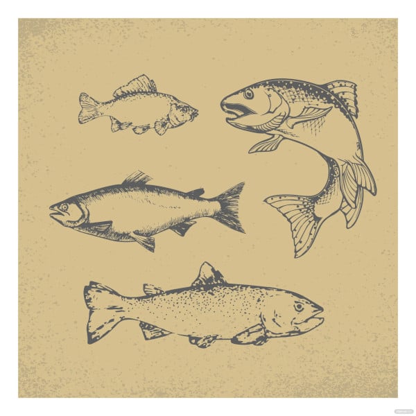 free vintage fish template