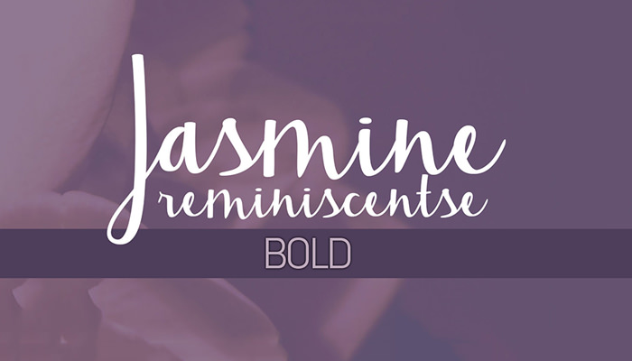 jasmine reminiscentse bold