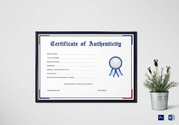 semplice certificato di autenticità modello