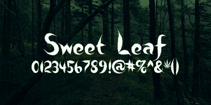 sweet leaf font