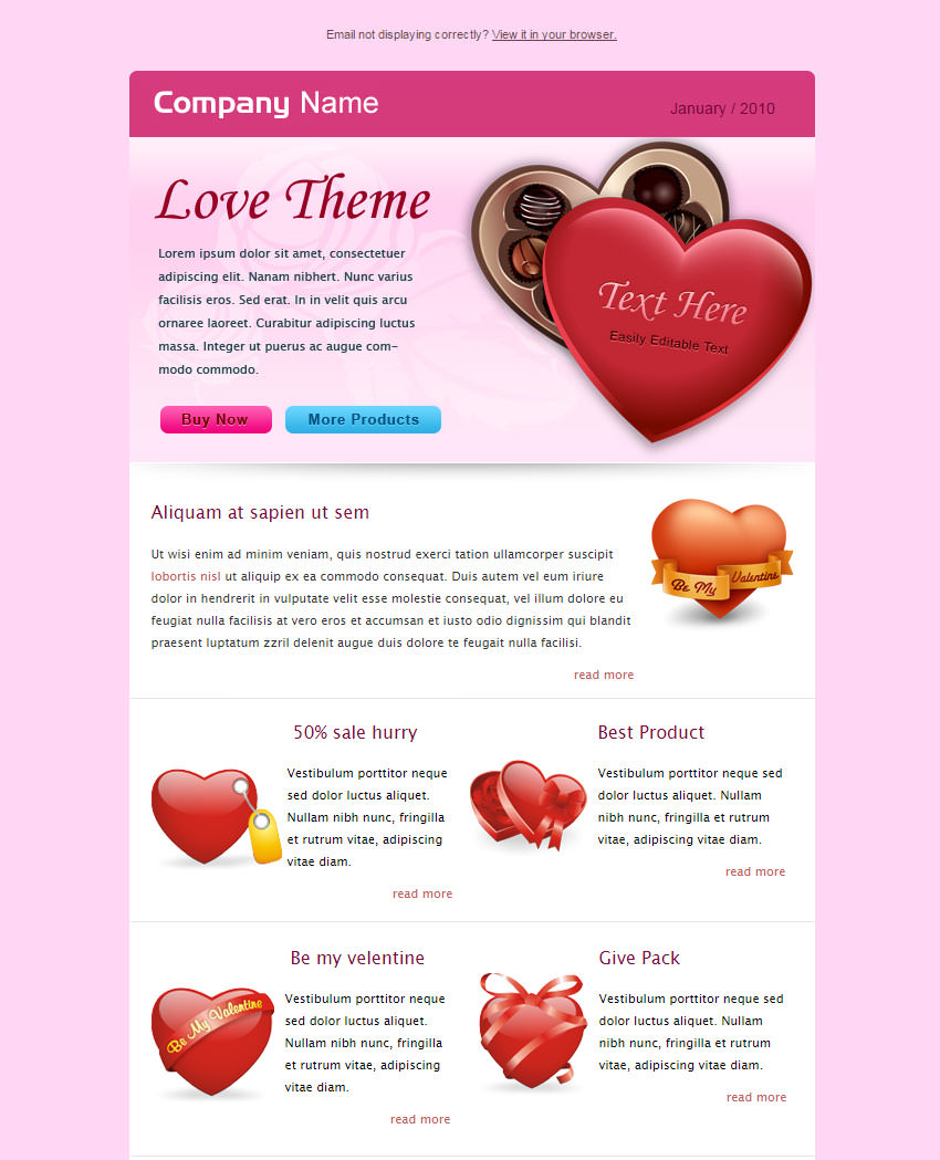 10 Best Valentines Emails Newsletter Templates