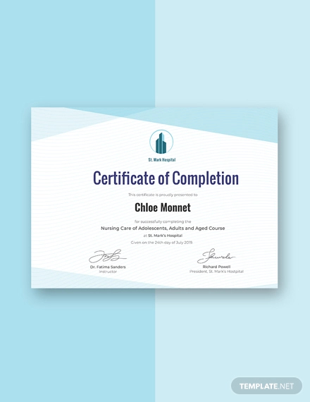 Certificate of Completion Template - 37+ Word, PDF, PSD, InDesign ...