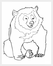 Bear Template