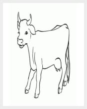 Cow Animal