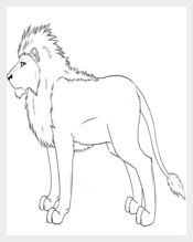 Lion Template Outline