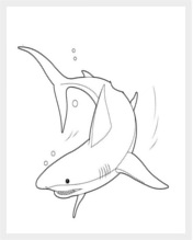 Simple Shark Template