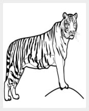 Tiger Template Download