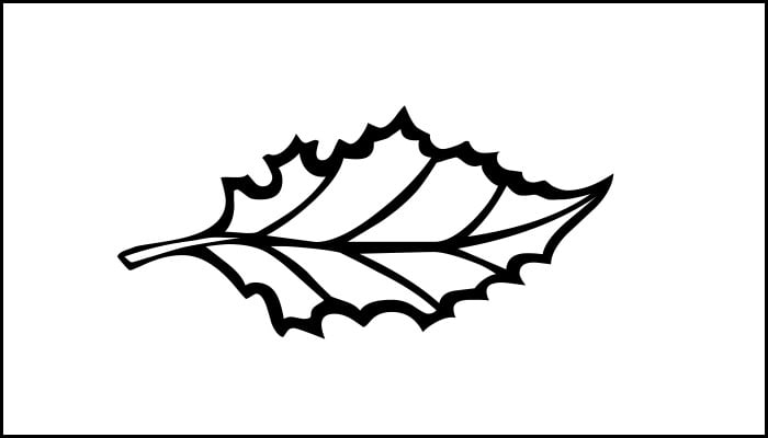 beautiful leaf template free download