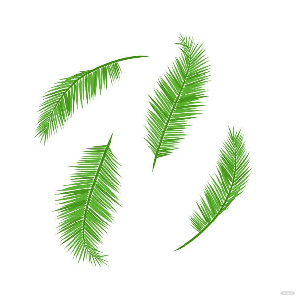 free coconut leaf coloring page template