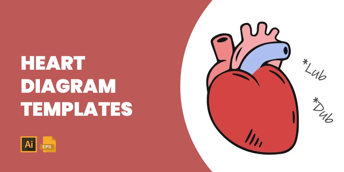 17+ Heart Diagram Templates - Sample, Example, Format Download