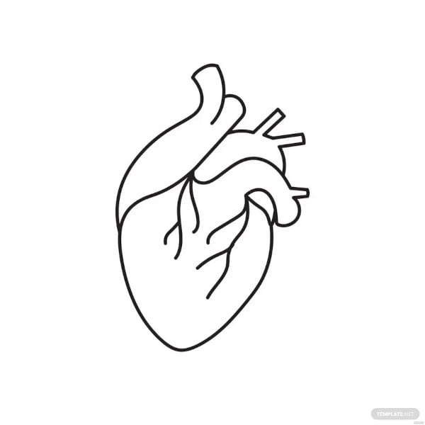 human heart outline diagram template