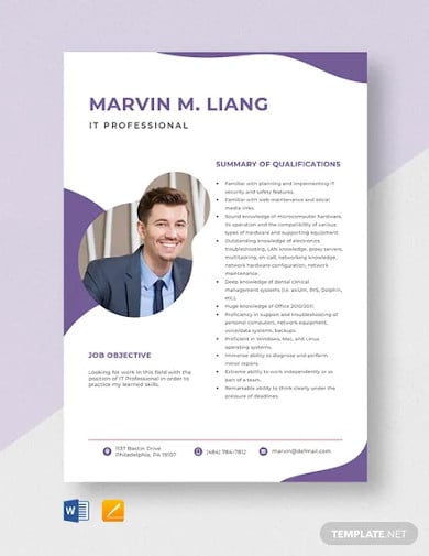 it-professional-resume-template
