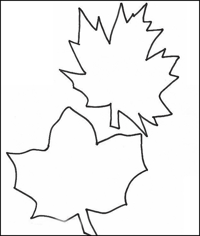Leaf Template | Printable Leaf Templates