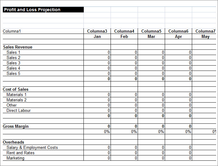 P And L Statement Template