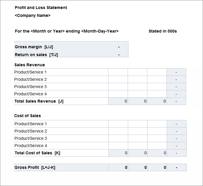 profit and loss statement11 new