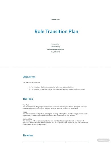 role transition plan template