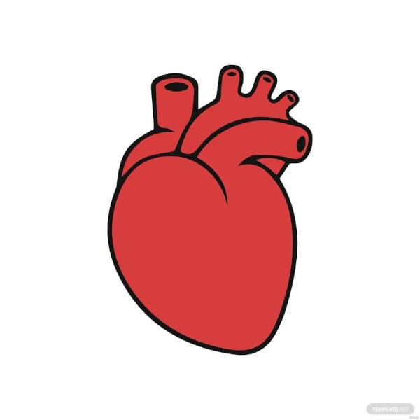 simple human heart diagram template