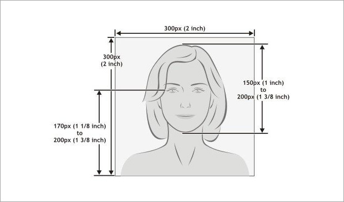 size stamp template photo Format Example 6 Sample,  Free  Photo Template Passport