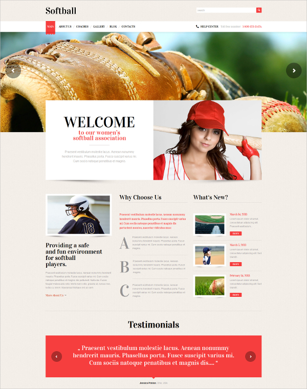 responsive baseball wordpress template1