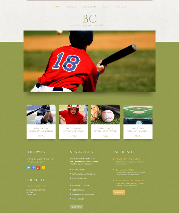 baseball amazing wordpress theme1
