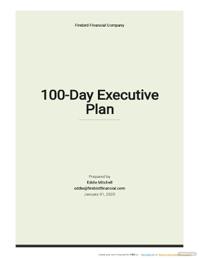 00 day executive plan template
