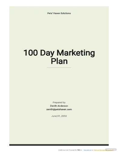 00 day marketing plan template
