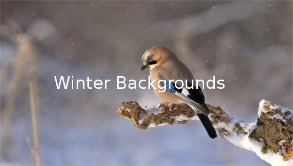 95+ Winter Backgrounds – Free PSD, EPS, AI, Illustrator Format